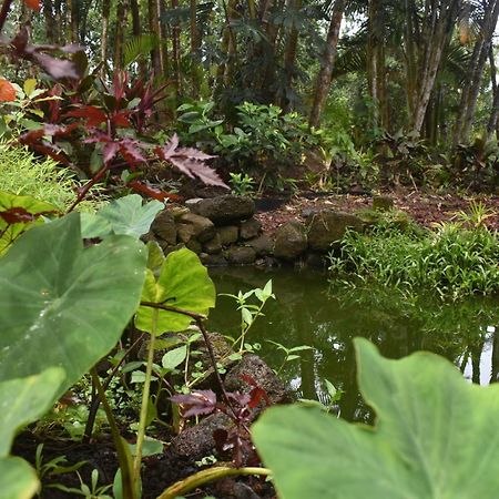 Keaau The Red Cottage And Hawaiian Pond Garden Paradise! מראה חיצוני תמונה