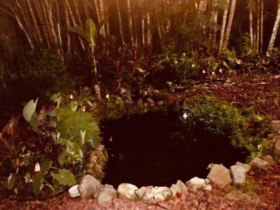 Keaau The Red Cottage And Hawaiian Pond Garden Paradise! מראה חיצוני תמונה