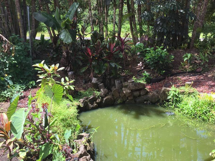 Keaau The Red Cottage And Hawaiian Pond Garden Paradise! מראה חיצוני תמונה